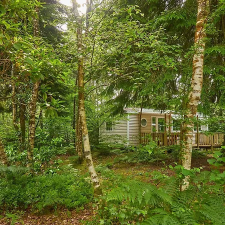 Le Bois De Pleuven * Saint-Yvy