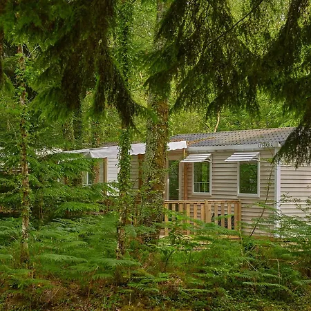 Le Bois De Pleuven Kemp